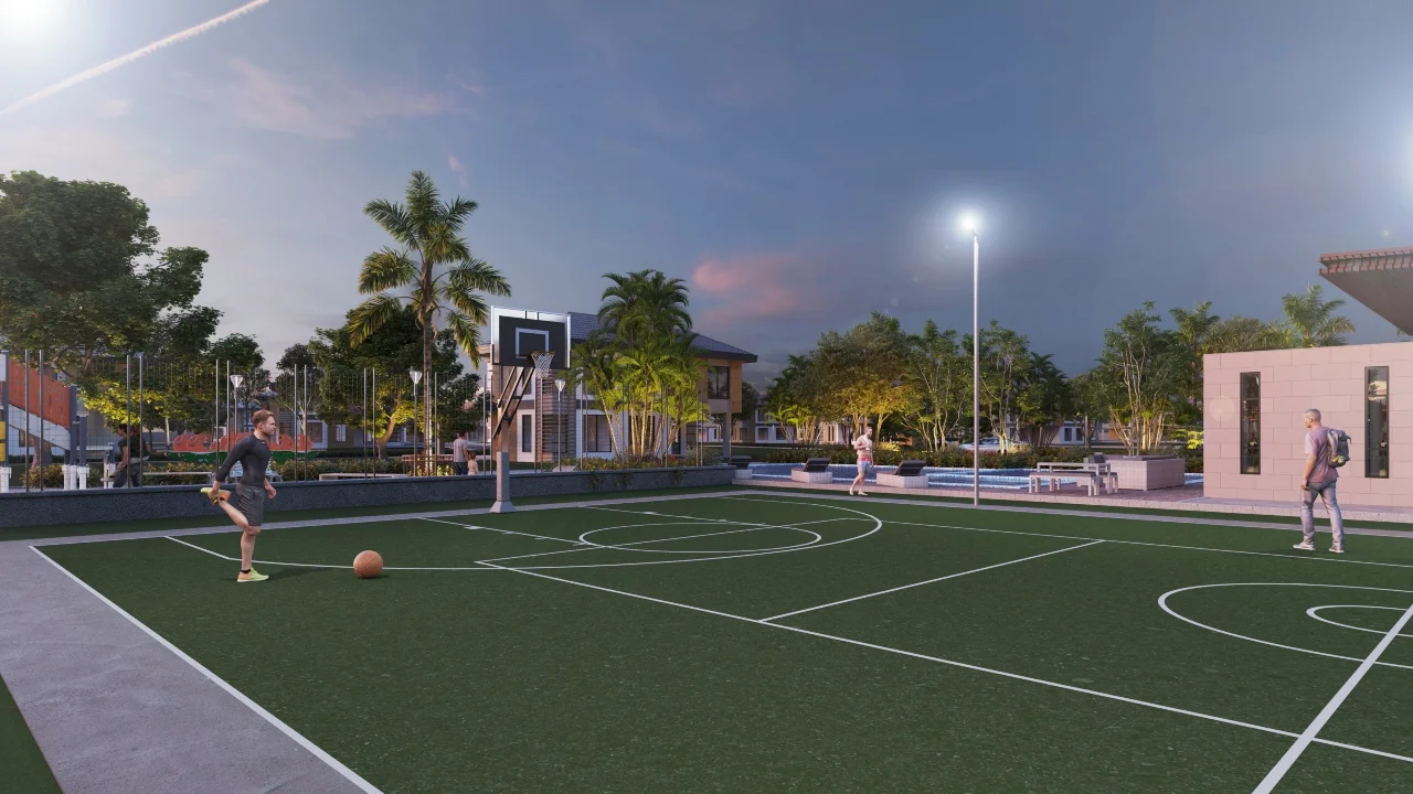 Basketball Court Meadow